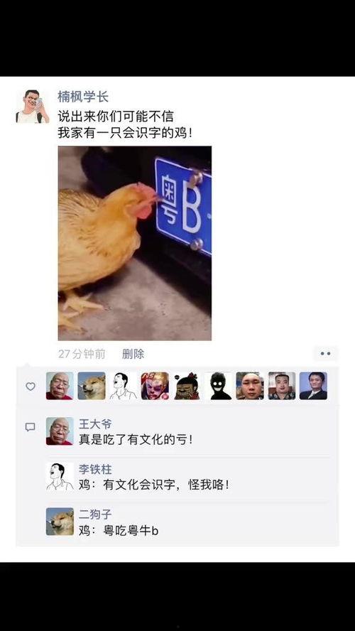 搞笑爆料神评视频大全集,笑点满满，回味无穷